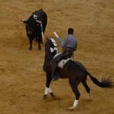 Il Rejoneo, la corrida a cavallo
